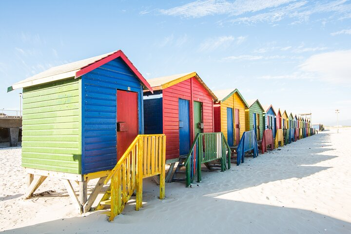 The Road Trip (Cape Point and Penguins) - Photo 1 of 8